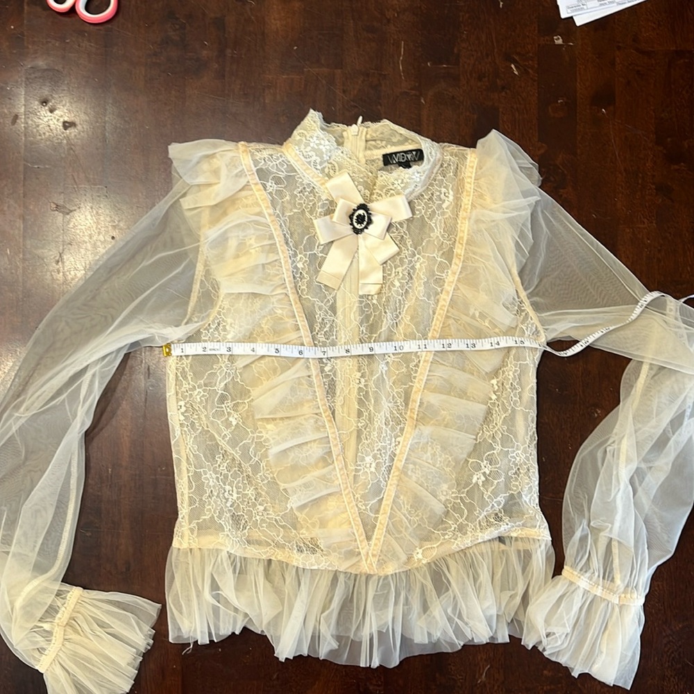 Never worn. Dolls Kill Widow brand blouse size large with lace and tule.